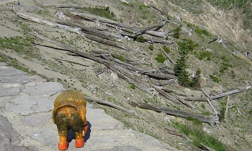 Mt St Helens