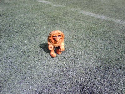 Torvald on the grass at Qwest Field